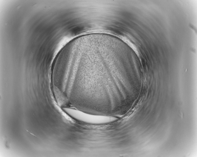 X0000093731005200710301040