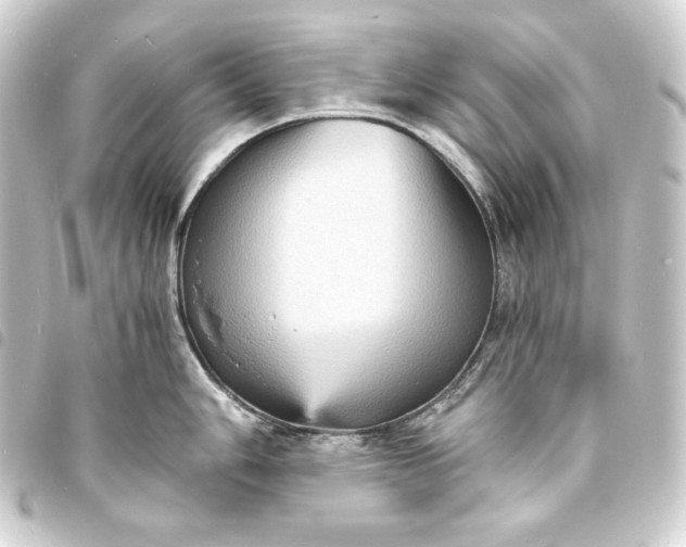 X0000093731006200710301040