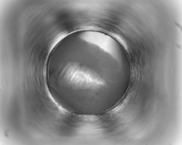 X0000093731007200710301040