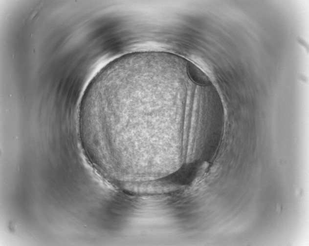 X0000093731008200710301040