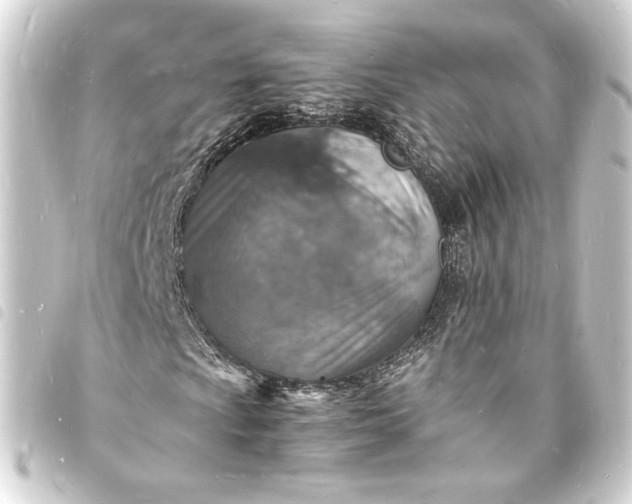 X0000093731009200710301040
