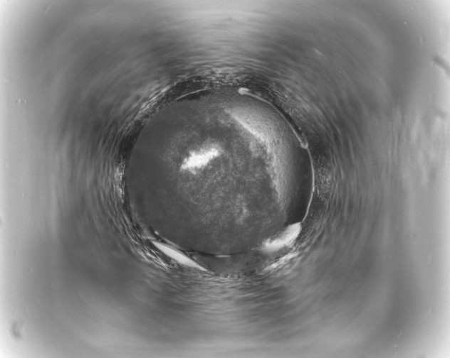 X0000093731010200710301040