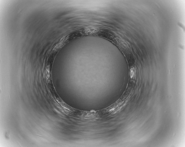 X0000093731011200710301040