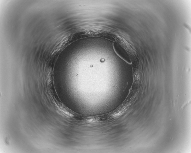 X0000093731012200710301040