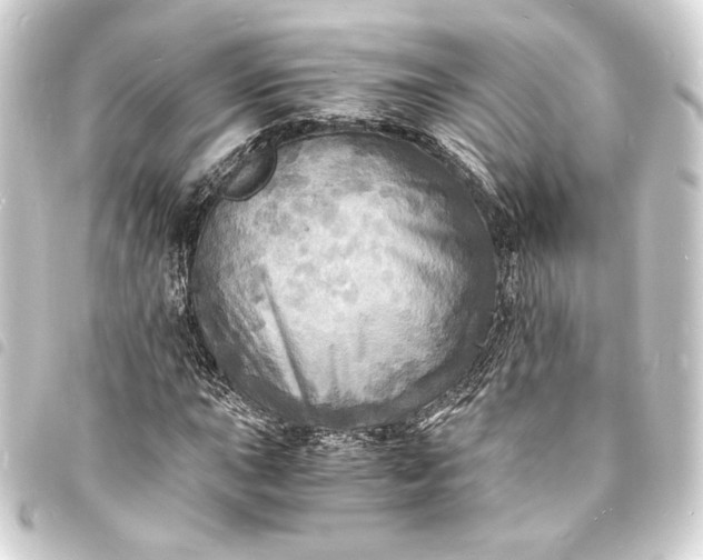 X0000093731015200710301040