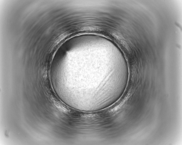 X0000093731017200710301040