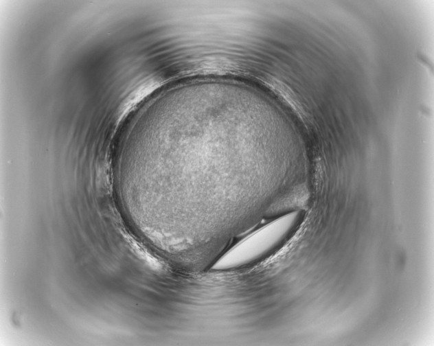 X0000093731018200710301040