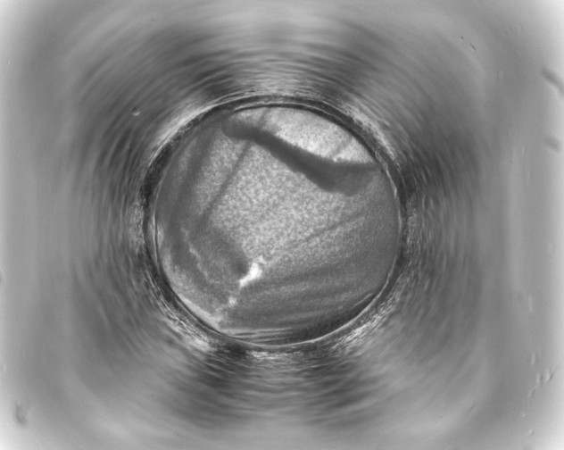 X0000093731019200710301040