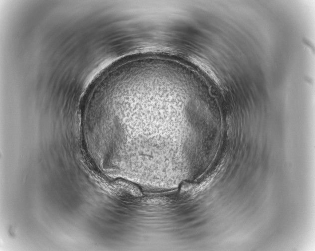 X0000093731021200710301040