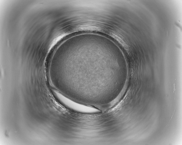 X0000093731022200710301040