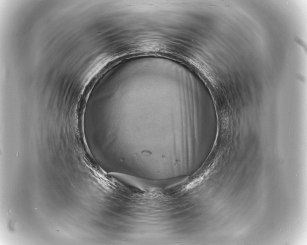 X0000093731023200710301040