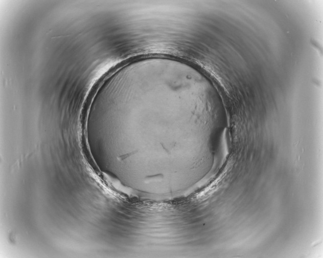 X0000093731024200710301040