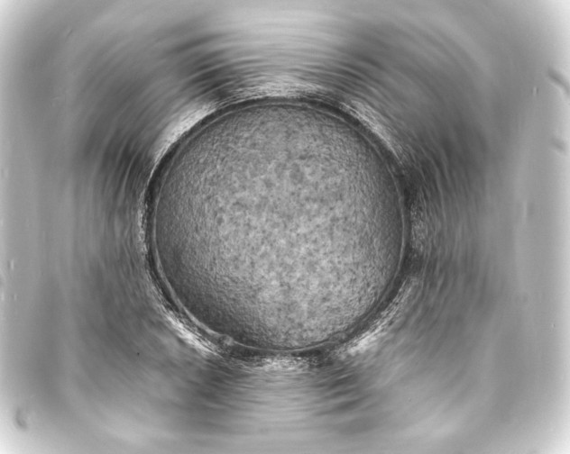 X0000093731026200710301040