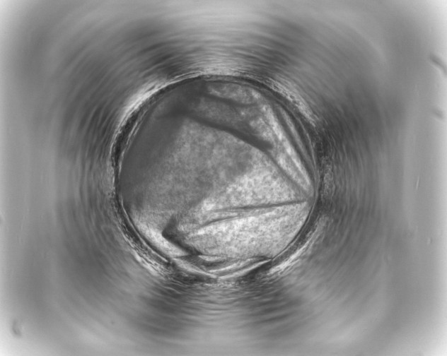 X0000093731027200710301040