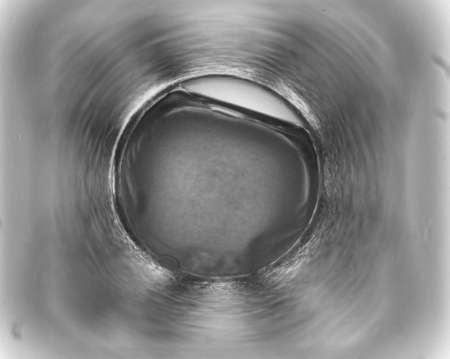 X0000093731028200710301040