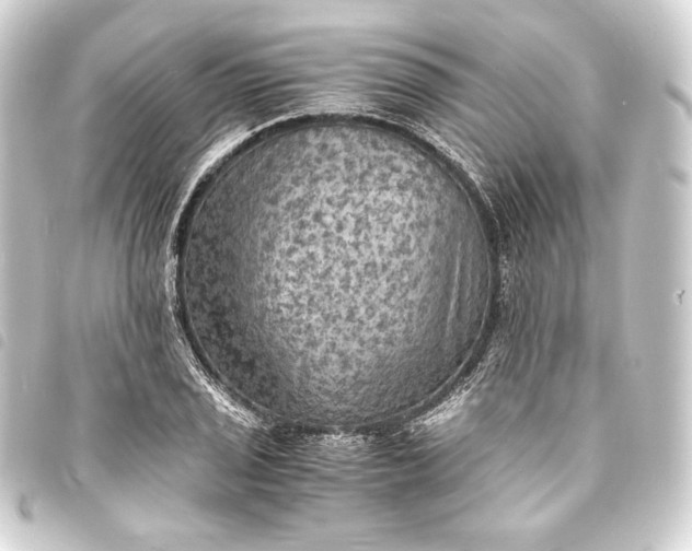 X0000093731029200710301040