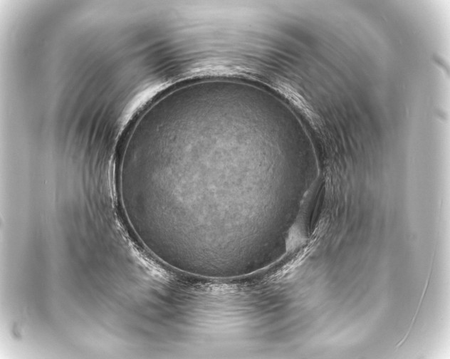 X0000093731030200710301040