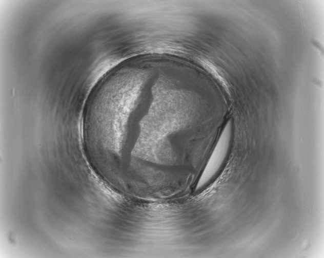 X0000093731032200710301040