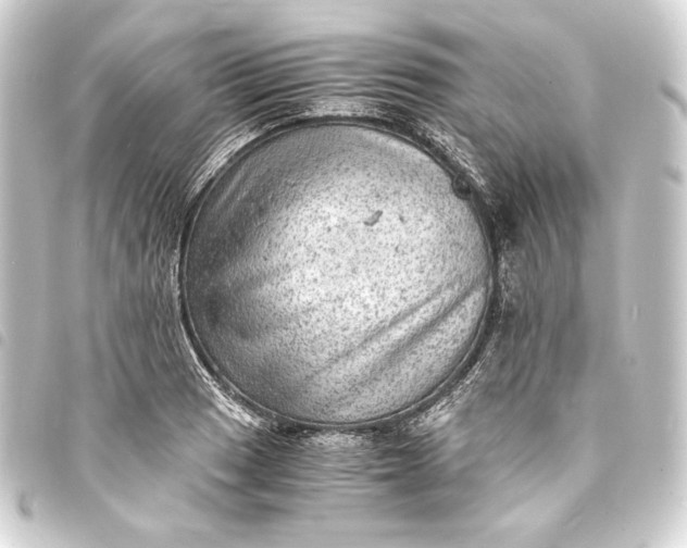 X0000093731033200710301040