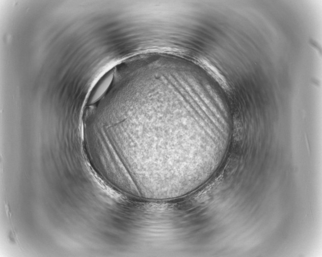 X0000093731036200710301040
