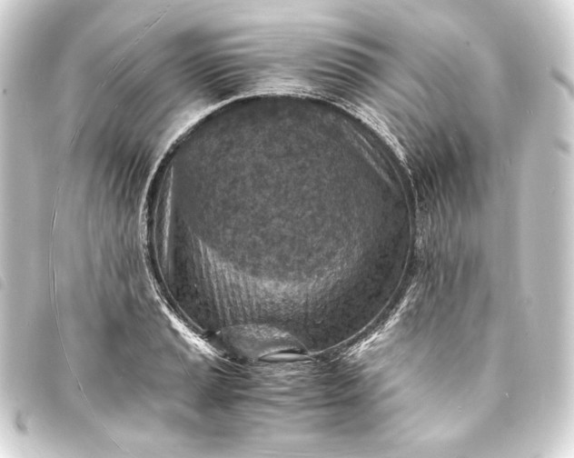 X0000093731037200710301040