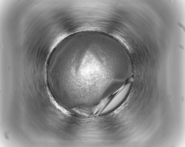 X0000093731038200710301040