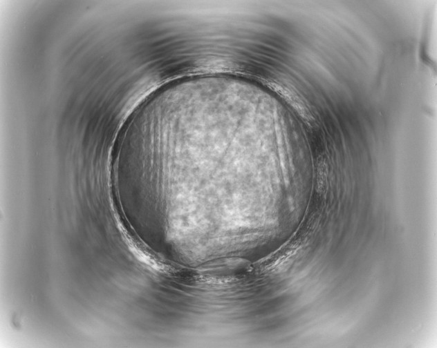 X0000093731039200710301040