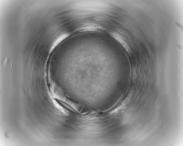X0000093731042200710301040