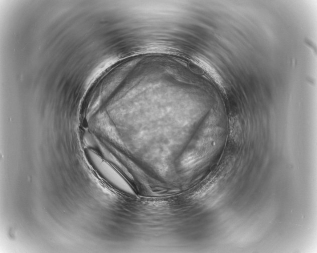 X0000093731043200710301040