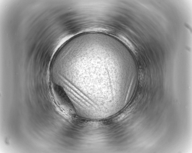 X0000093731044200710301040