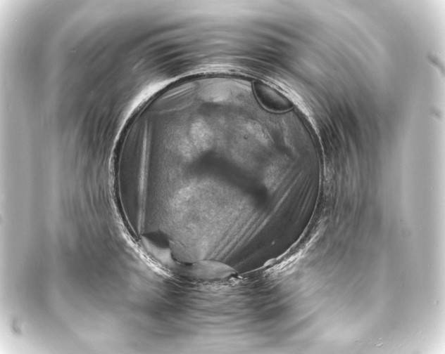 X0000093731045200710301040