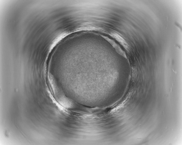 X0000093731046200710301040