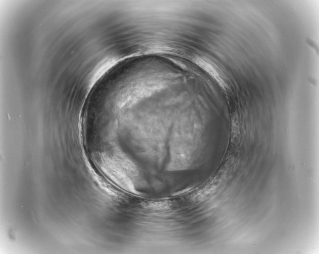 X0000093731047200710301040