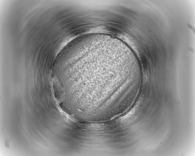 X0000093731049200710301040