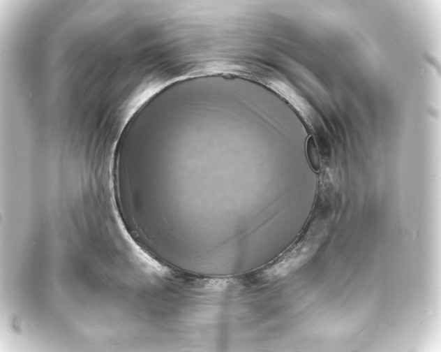 X0000093731055200710301040