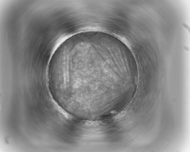 X0000093731056200710301040