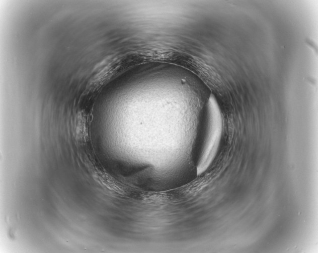 X0000093731058200710301040