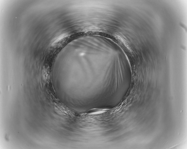 X0000093731063200710301040