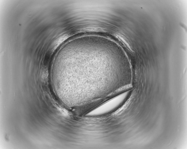 X0000093731065200710301040