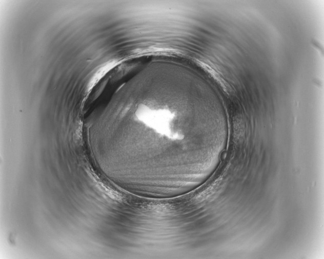 X0000093731066200710301040