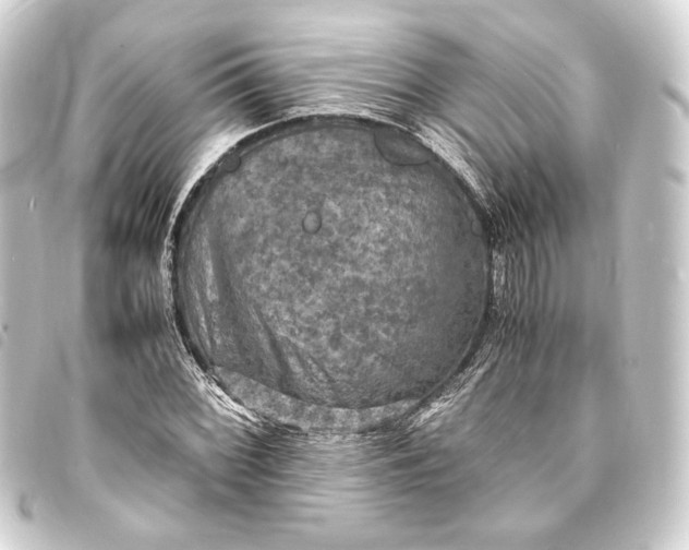 X0000093731068200710301040