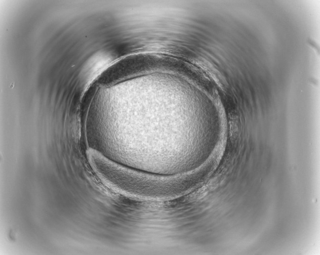 X0000093731069200710301040