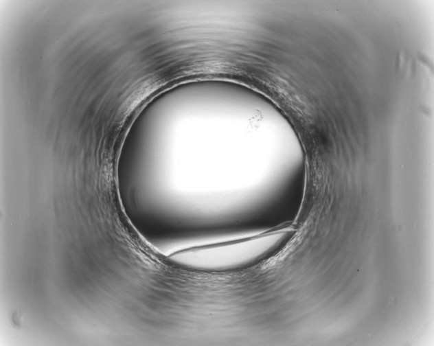 X0000093731073200710301039