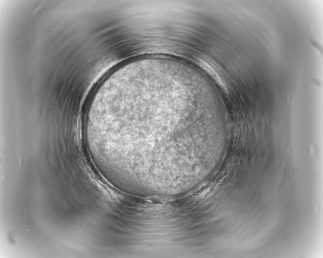 X0000093731076200710301039