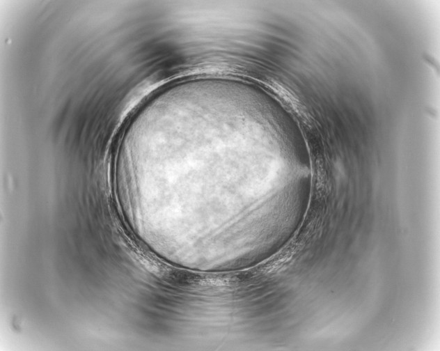 X0000093731078200710301039