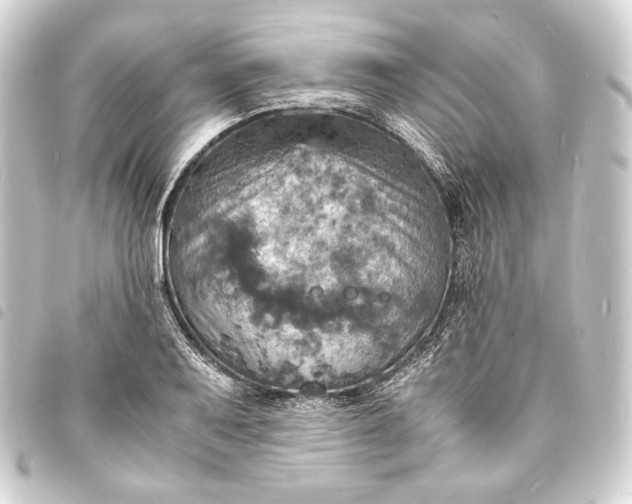 X0000093731079200710301039