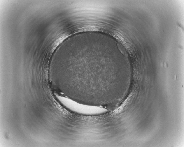 X0000093731081200710301039