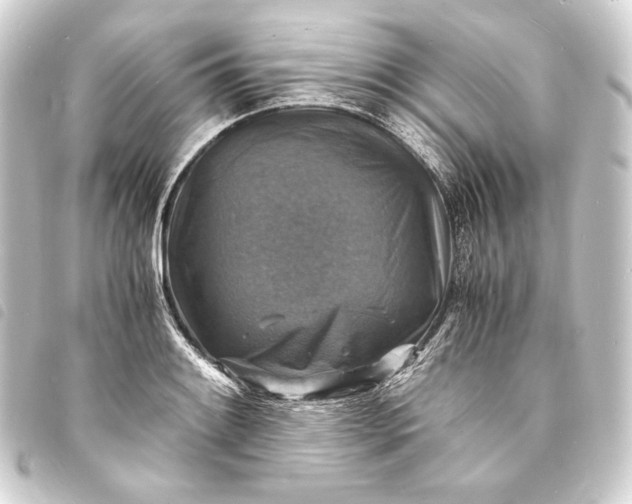 X0000093731084200710301039
