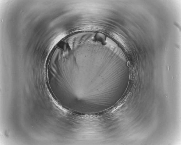 X0000093731087200710301039