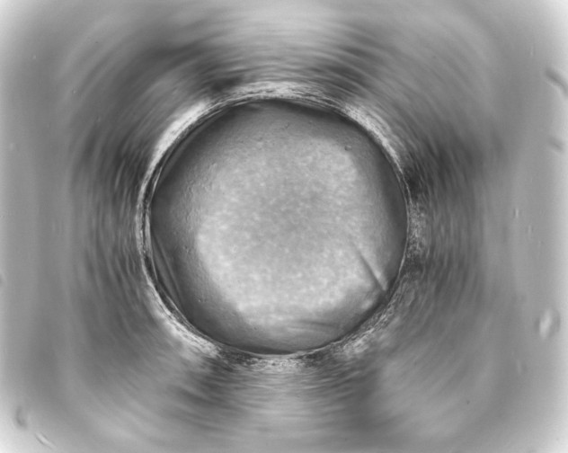 X0000093731090200710301039
